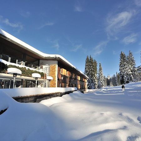 Saanewald Lodge Заненмёзер Экстерьер фото