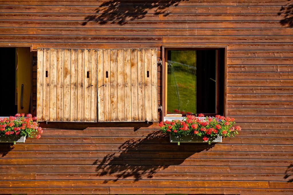 Saanewald Lodge Заненмёзер Экстерьер фото